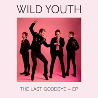 Wild Youth - The Last Goodbye - EP artwork