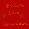 No Se Cuantos Llevo (feat. W Corona) - Ruddi Nizz lyrics