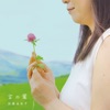 佐藤 美佐子 - 春の道