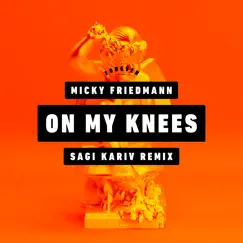 On My Knees (Sagi Kariv Remix) - Single by Micky Friedmann, Sagi Kariv & Forever Tel Aviv album reviews, ratings, credits