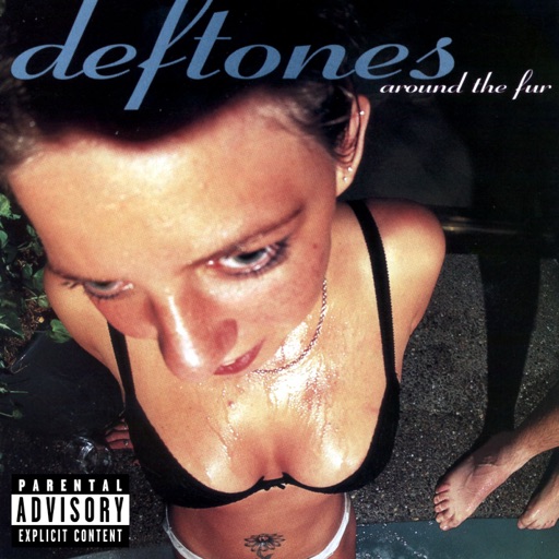 Art for My Own Summer (Shove It) by Deftones