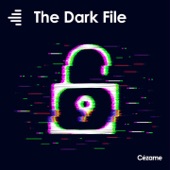 The Dark File artwork