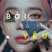 Bởi Vì Là Khi Yêu artwork