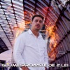 Glume Proaste de 2 Lei (feat. Sorina Ceugea) - Single