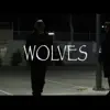 Wolves - Single album lyrics, reviews, download