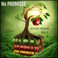 No PROMISES - Acoustic Sessions, Vol. 1 artwork