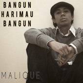 Bangun Harimau Bangun artwork