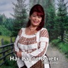 Florica Jinga - Hai La Joc Baieti