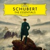 Schubert: The Essentials