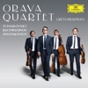 Orava Quartet - String Quartet No. 1 in D Major, Op. 11, TH.111: 3. Scherzo: Allegro non tanto - Trio