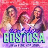 Acordei Gostosa (Brega Funk Pisadinha) [feat. Dj Batata] artwork