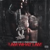 I Am What I Am (feat. Fivio Foreign) - Single