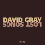 David Gray - January Rain