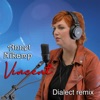 Vincent Dialect Remix - Single
