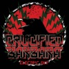 Crucified Barbara - Electric Sky