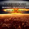 Terrordome (feat. Shaikhspeare) - Single album lyrics, reviews, download