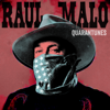 Raul Malo - Quarantunes Vol. 1  artwork