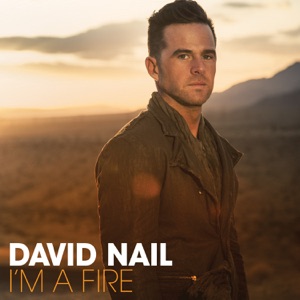 David Nail - Countin' Cars - Line Dance Musique