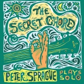 The Secret Chord artwork