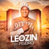 Leozin do Piseiro