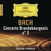 Brandenburg Concerto No. 3 in G Major, BWV 1048: 3. Allegro artwork
