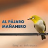 Al Pájaro Mañanero - Single