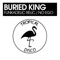 Funkadelic Relic - Buried King lyrics