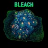 Bleach - Single