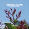 Poseidon (feat. Meme) - Federico Scavo lyrics