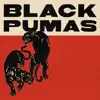 Black Pumas (Deluxe Edition) album lyrics, reviews, download