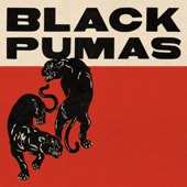 Black Pumas - Black Cat