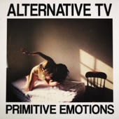 Alternative TV - The System