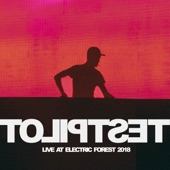 Live At Electric Forest 2018 (DJ Mix) artwork