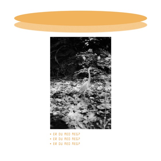 Cover artwork for Er Du Med Meg?