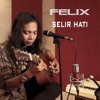 Selir Hati - Single