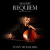 Tony Woollard - Requiem in D Minor, K. 626: III. Sequentia: Confutatis