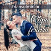 Vladuta Lupau - Clipa Fericirii (Dansul Mirilor)