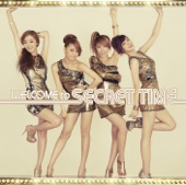 Welcome To Secret Time artwork