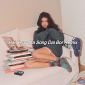 Hai Kerry Ma Song Dai Bor Remix (Remix) artwork