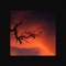 Moya (feat. Alfred Geier) - Azaleh lyrics
