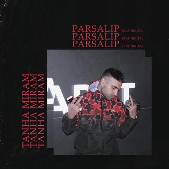 Cover artwork for Tanha Miram (feat. Nikita)