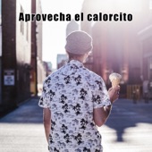 Aprovecha el calorcito artwork