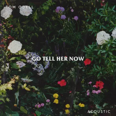 Go Tell Her Now (Acoustic) - Single - Tom Odell