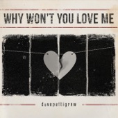 Why Won't You Love Me artwork