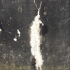 Love Ain't Nothing but a Heart Attack - Single
