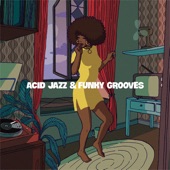 Acid Jazz & Funky Grooves artwork
