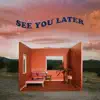 See You Later - Single album lyrics, reviews, download