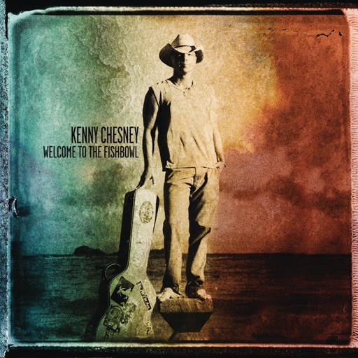 Art for Time Flies by Kenny Chesney