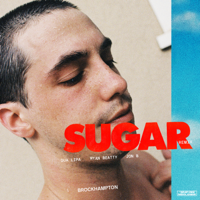 BROCKHAMPTON - SUGAR (Remix) [feat. Dua Lipa] artwork