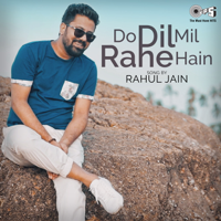 Rahul Jain - Do Dil Mil Rahe Hain artwork